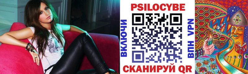 купить   Кяхта  Псилоцибиновые грибы мицелий 